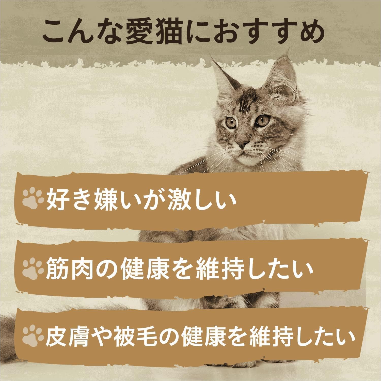 Amazon.co.jp: ニュートロ キャット ワイルド レシピ シニア猫用